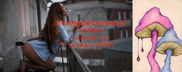 ГАЛЛЮЦИНОГЕННЫЕ ГРИБЫ Заволжье