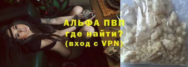 ГАЛЛЮЦИНОГЕННЫЕ ГРИБЫ Заволжье