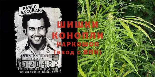 ГАЛЛЮЦИНОГЕННЫЕ ГРИБЫ Заволжье