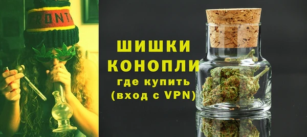ГАЛЛЮЦИНОГЕННЫЕ ГРИБЫ Заволжье