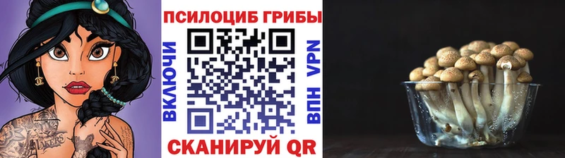 Галлюциногенные грибы GOLDEN TEACHER Зарайск